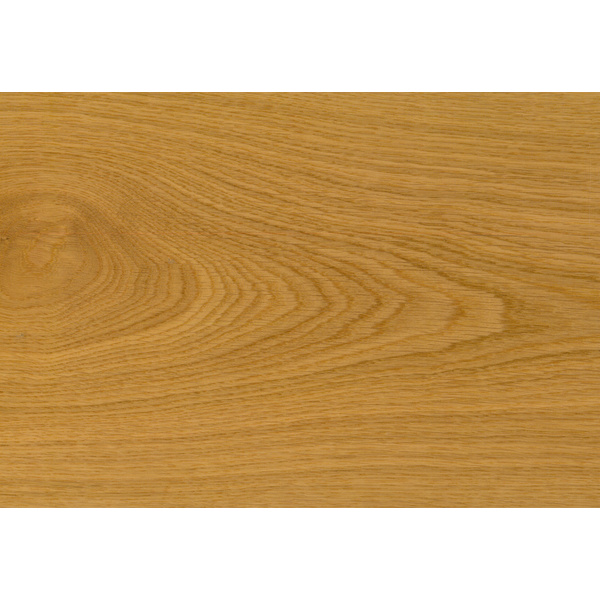 Parkett Eiche Select, lackiert Landhausdiele lackiert - HOLZLOC