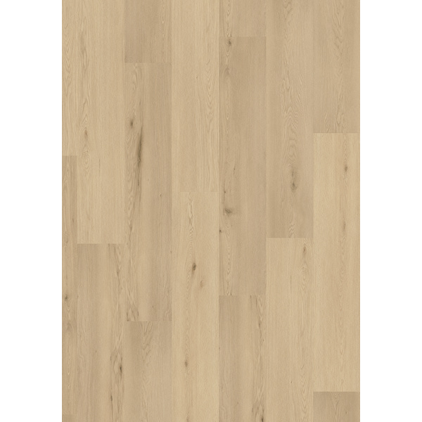 Europe Eiche Friesland Designervinyl Fertigfußboden HydroSeal 1209x221x9,1mm