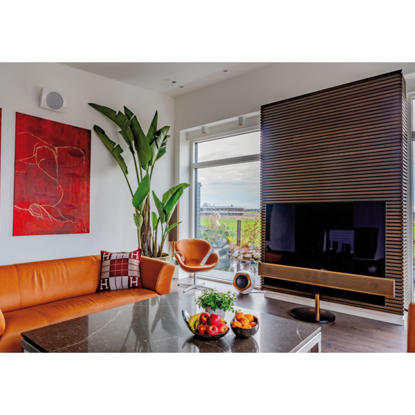 FibroTech BASIC Panel Smoked Oak MDF