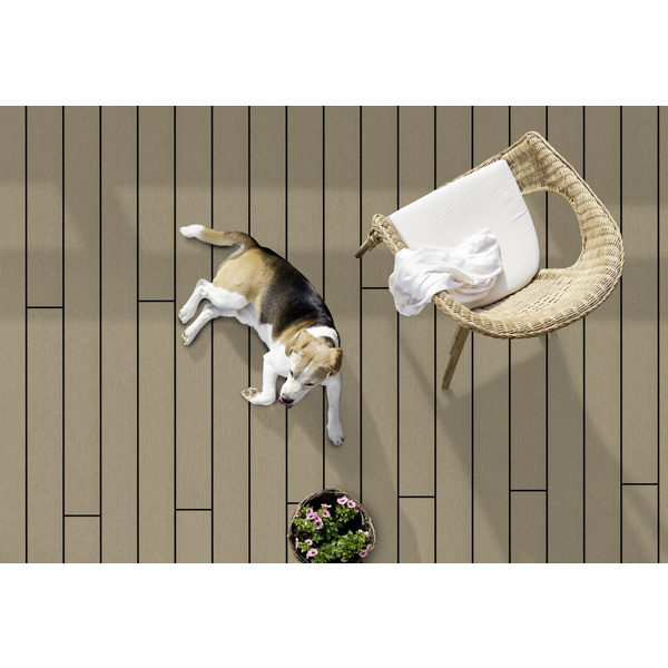 Terrassendiele BPC coextrudiert massiv Naturweiß einseitig Holzstruktur, einseitig individuell strukturiert, längsseitige Nut, Primo+ - 20 x 140 mm