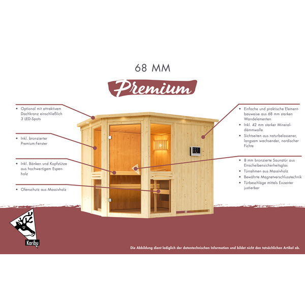 Systemsauna Fiona 2 mit bronz. Tür SET mit Ofen 9kW Bio Edelstahl ext. Strg Easy 1960x1700x1980mm