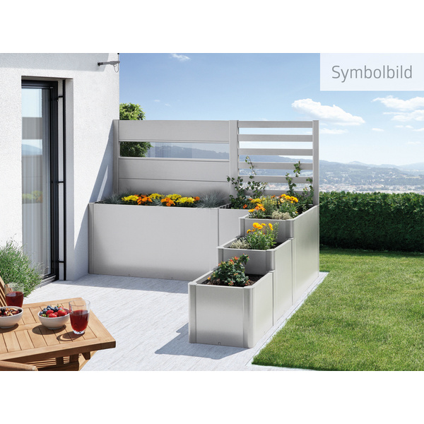 Sichtschutz zu Pflanzbeet Belvedere (1Stk) mit Acrylglas Gr. 150 silber- metallic 1520x910x40mm