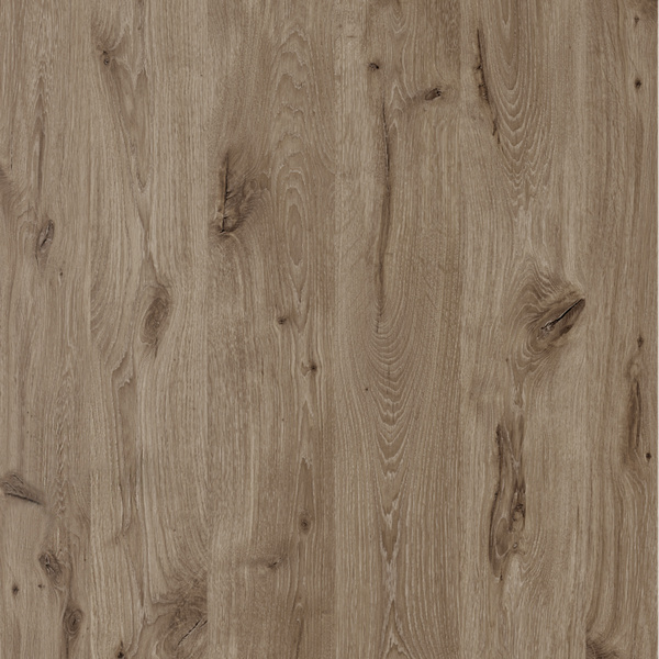 Wohnungseingangstür CPL Nordische Wildeiche Struktur melaminharzbeschichtet Vollspan KK3 SSK2 "Basic"