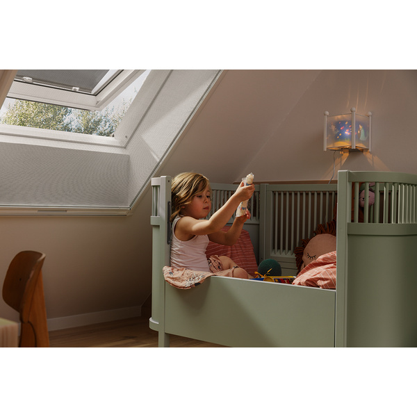 Insektenschutz-Rollo ZIL CK02 0000SWL Schwarz transparent Standard