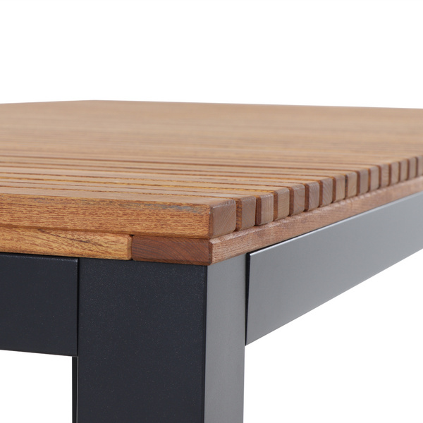 Bozen Tisch 220x100cm Alu anthrazit, Robinie