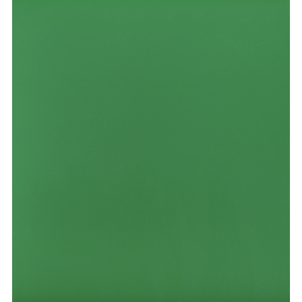 Melaminbeschichtete Spanplatte P2 U4808 VL Ivy 2800x2070x19mm