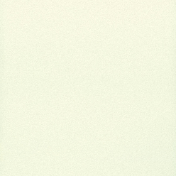 Standard HPL-Platte U566 PE Weiss