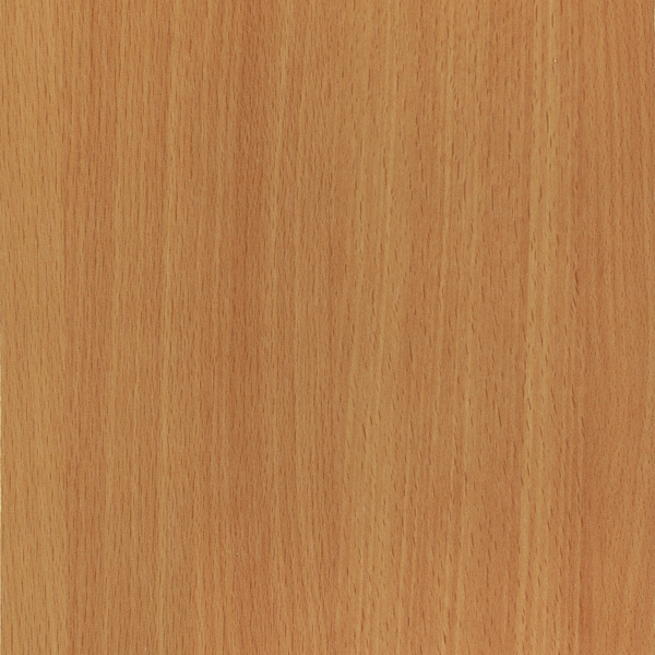 Standard HPL-Platte D381 PR Beech