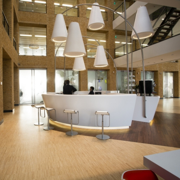 Parkett High Density Natural Industrieoptik unbehandelt - Bamboo Industriale