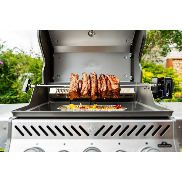 Rotisserie Heavy Duty für Rogue