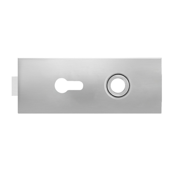 EGS 110Q PZ 71 EGS 110Q, Glastürschloss Essence o. Griffpaar in Edelst. matt rechteckig Profilzylinder