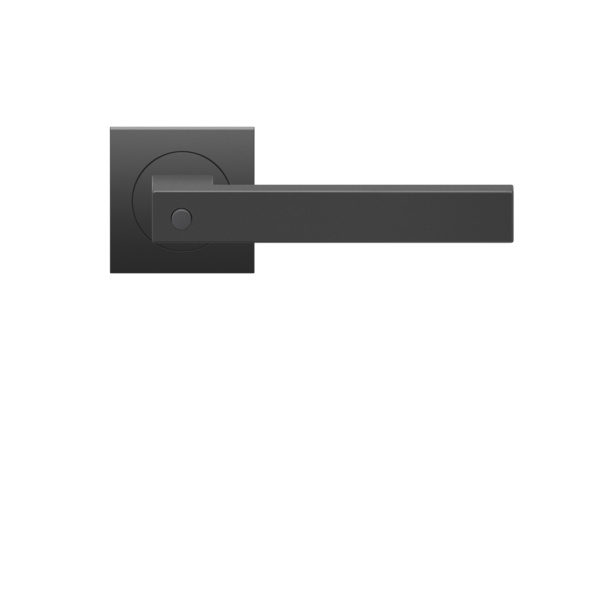 Seattle ER46Q BCR 83 mit Privacy Funktion DIN Rechts