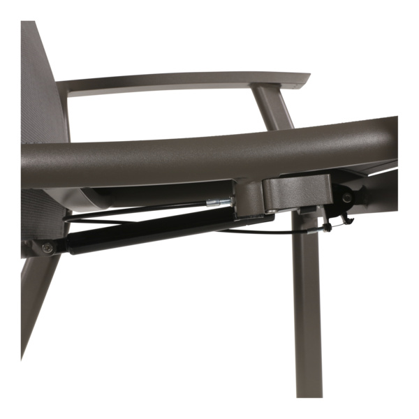 Hochlehner Mojito Pardo II