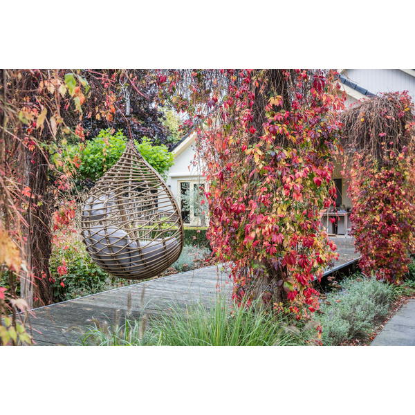 Hängesessel Amazonas