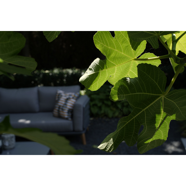 Lounge-Eckset Sphere